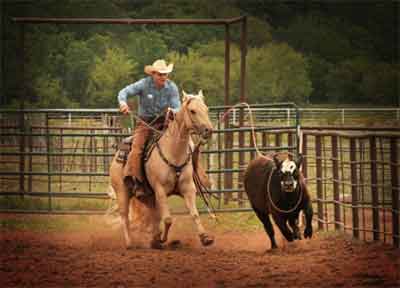 roping photo